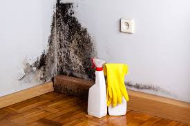 Best Commercial Mold Inspection  in St Albans, VT